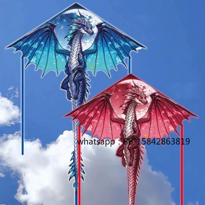 طائرات ورقية جديدة على شكل دين - مراجعة Kite Wind Outdoor وسعره