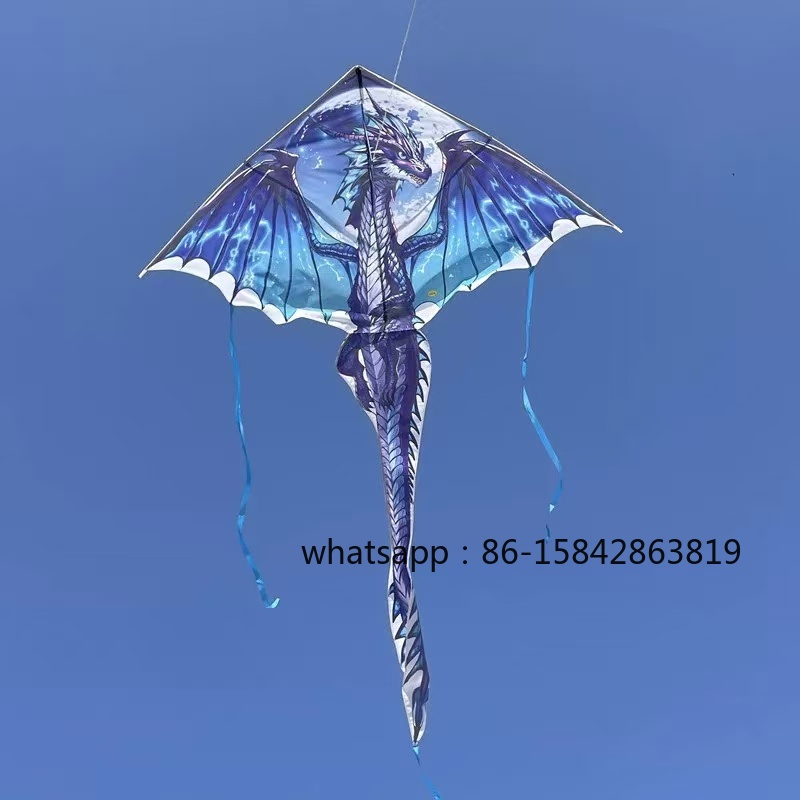 طائرات ورقية جديدة على شكل دين - مراجعة Kite Wind Outdoor وسعره